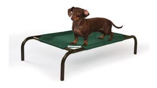 Coolaroo Dog Bed