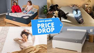 A collage of images of the best mattresses for college students to shop this weekend. In the top left, two women sit on the DreamCloud Classic Hybrid mattress. In the bottom left, a woman lies back on the EGOHOME Dreamer mattress. In the top right, a man and dog lie on the Casper The One mattress. In the bottom right, the Siena Signature Mattress on a bed frame in a bedroom. A Tom's Guide Price Drop deals graphic in the middle.