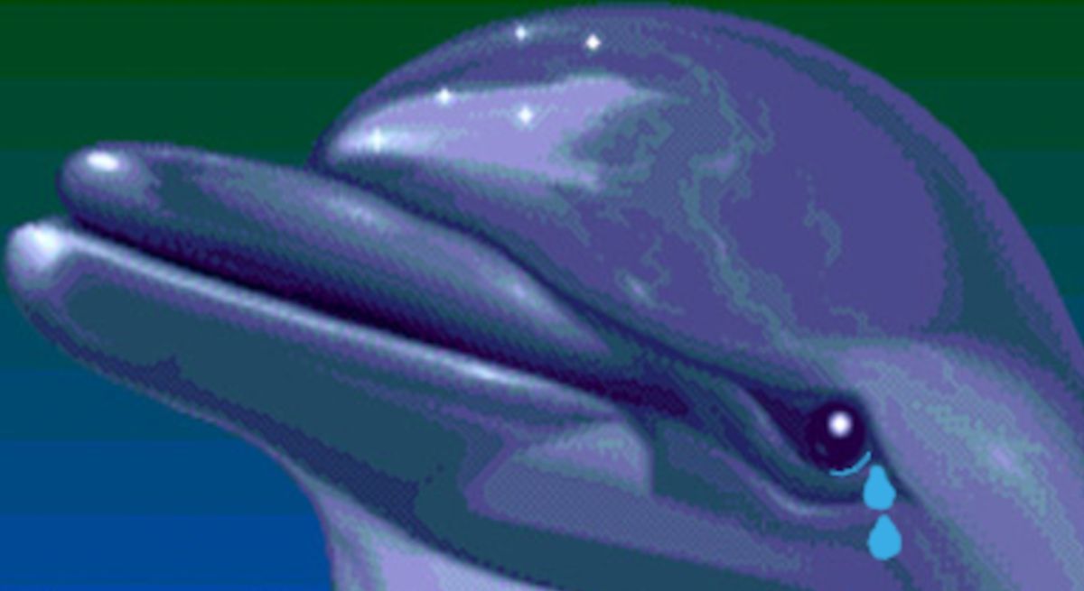 Ecco the dolphin crying