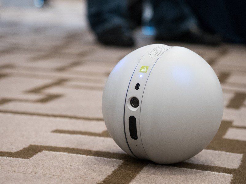 LG Roller Bot