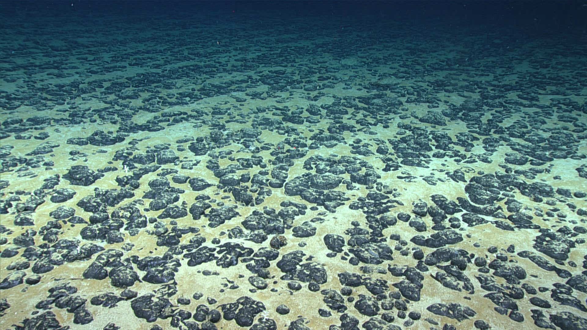 Discovery Of Dark Oxygen From Deep Sea Metal Lumps Could Trigger Rethink Of Origins Of Life