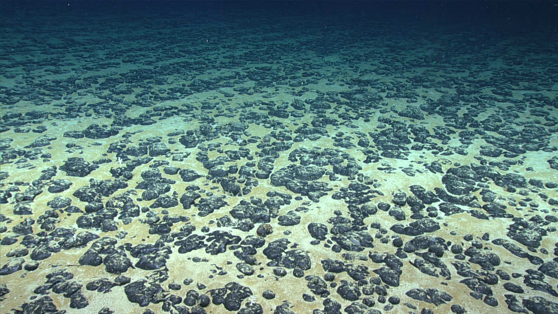  Discovery of 'dark oxygen' from deep-sea metal lumps could trigger rethink of origins of life 