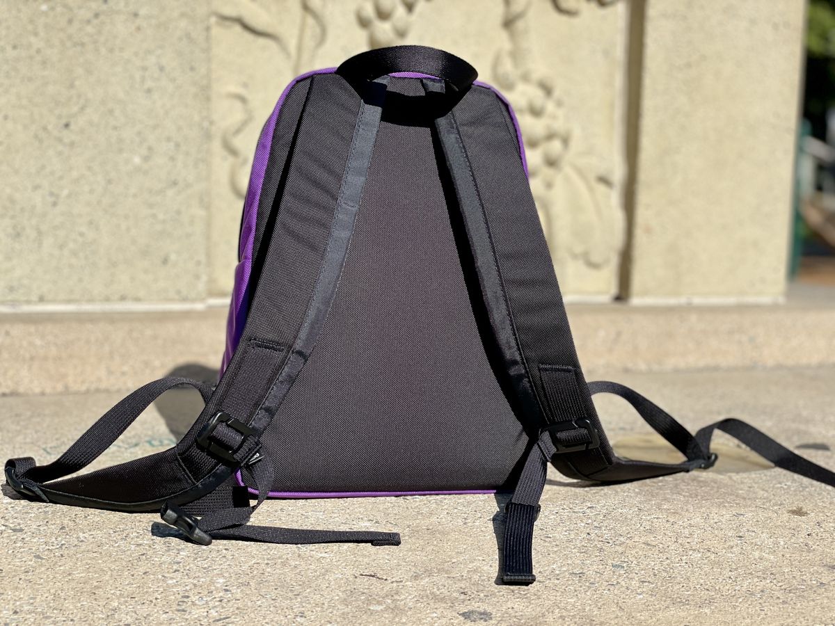 Tom Bihn Paradigm Alphaviolet Back