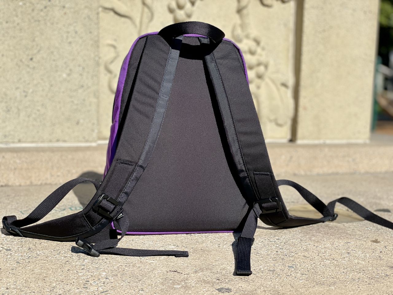 Tom Bihn Paradigm Alphaviolet Back