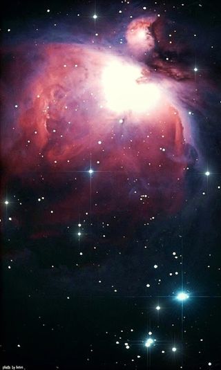 Orion Nebula Photographed by Kurtis Markham