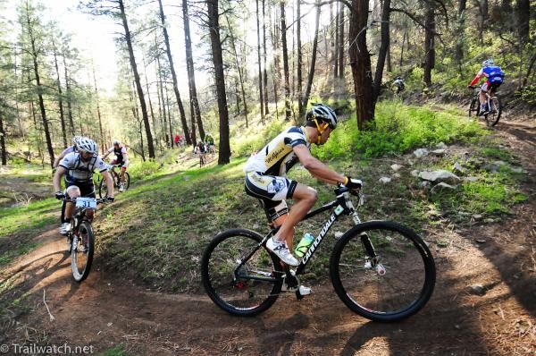 An endless procession of riders enjoying the shade from the Ponderosa Pines