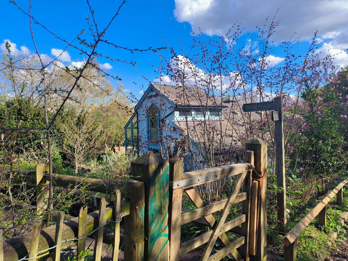 blue sky and building OPPO Find N2 Flip camera