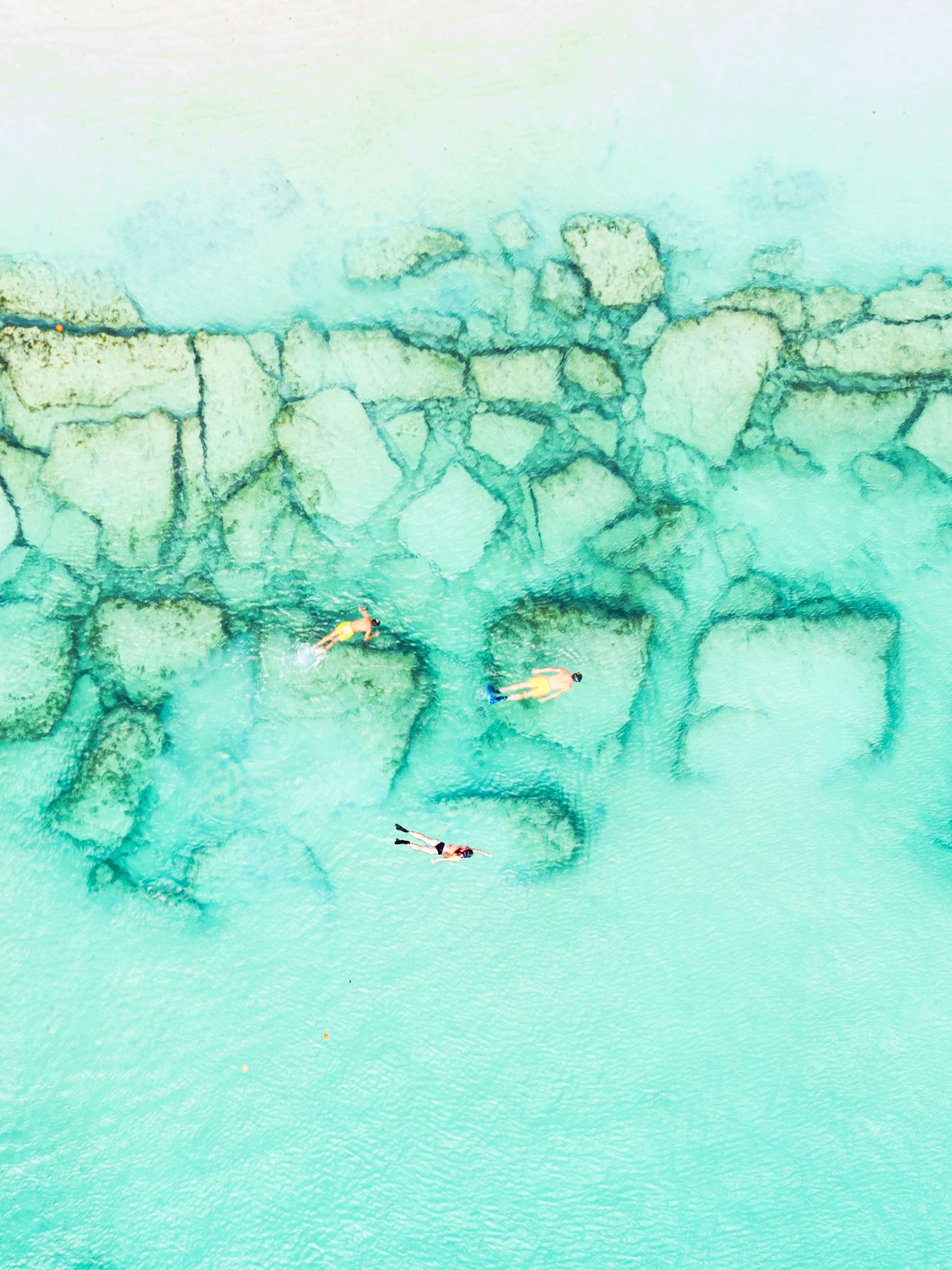 Family of three snorkelling in Antigua