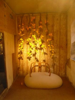 Autumn-themed room with a spotlight on a wall covered in autumnal foliage