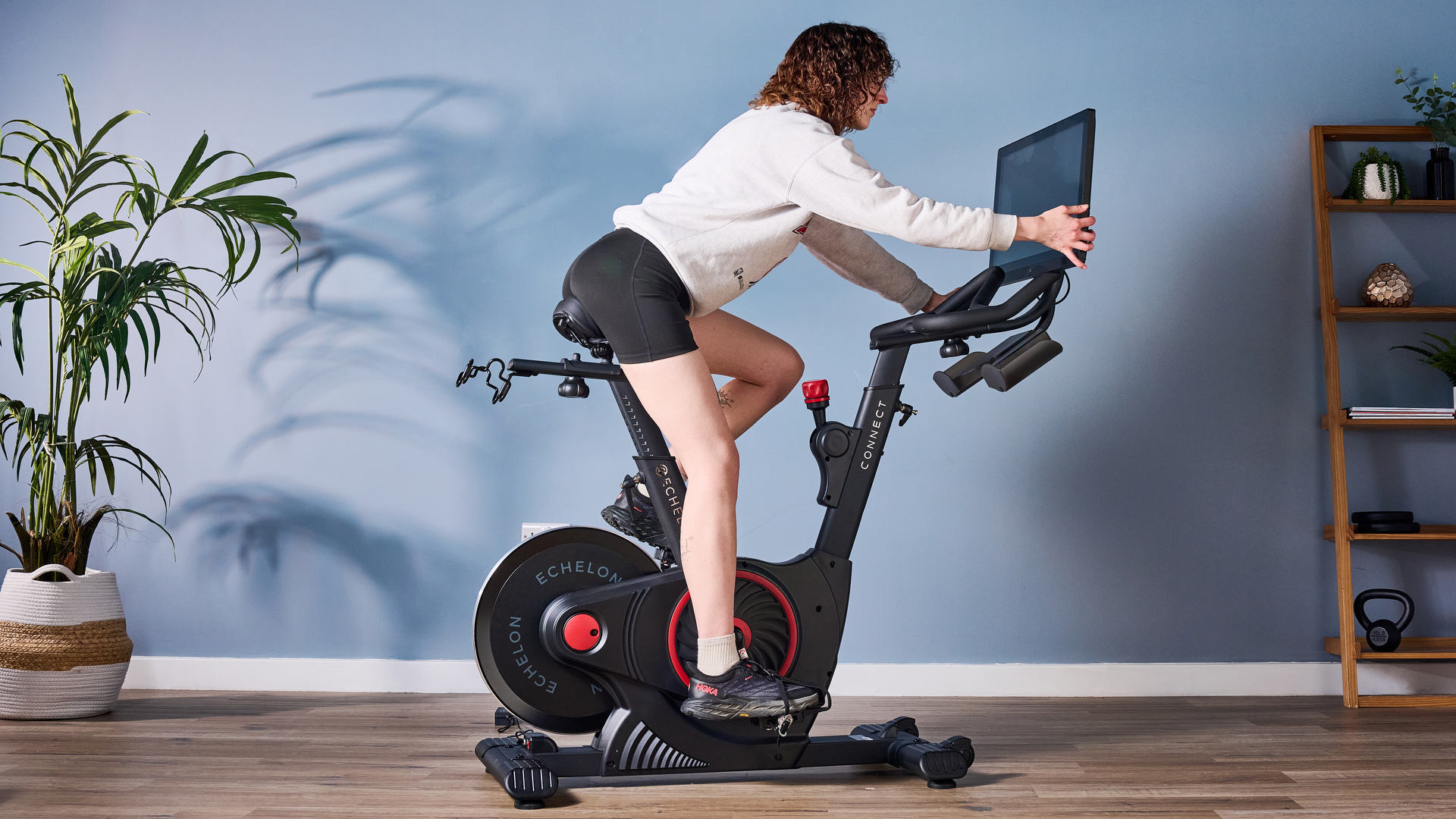 echleon ex-5s photographed in front of a blue background