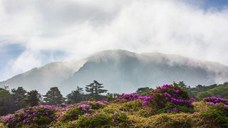 Hallasan, Jeju Island, South Korea