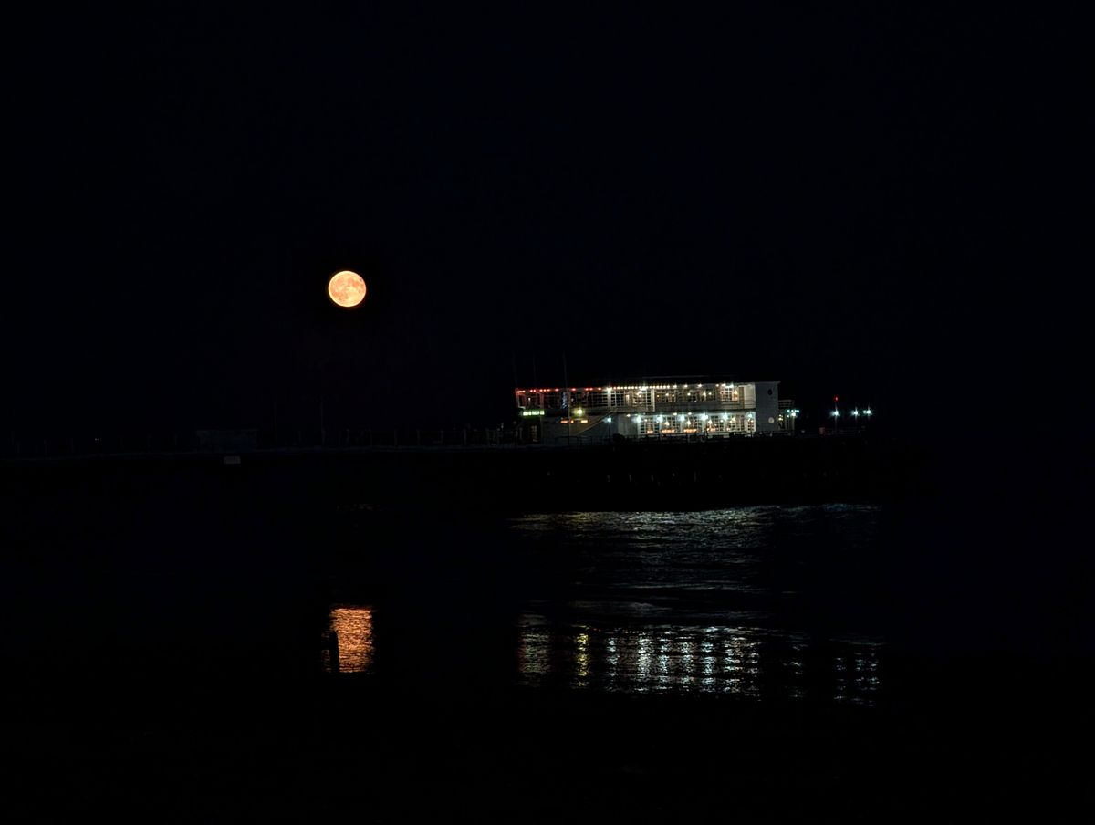 Google Pixel 9 Pro XL camera sample moon manual