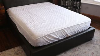 Scooms 100% Pure Cotton mattress protector review