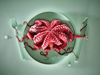 Cosimo Barletta, Italy. Red Octopus