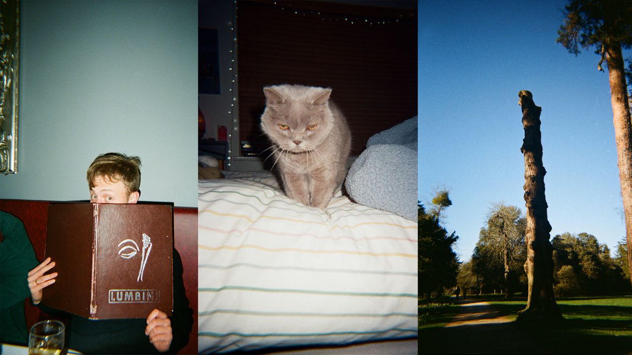 Collage of portrait-oriented images.