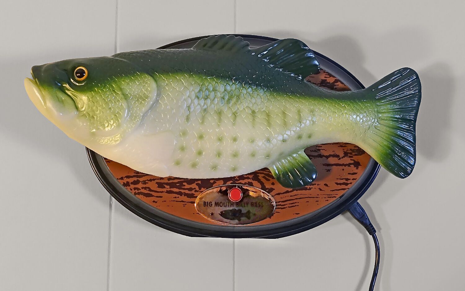 8SqdAZSbFs5yep6GJDBnwK-1500-80