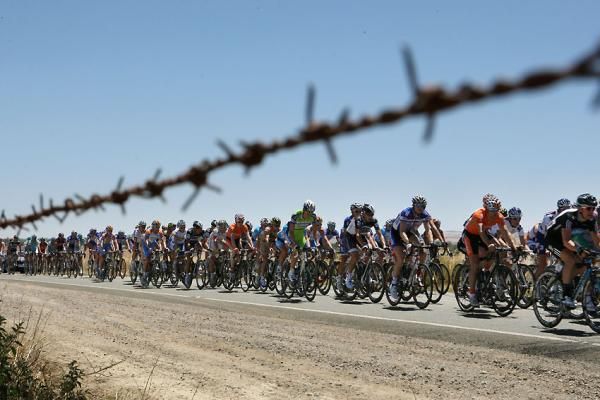 The peleton passes pastural fields in South Australia.