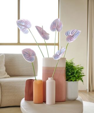 Lilac anthuriums in terracotta and cream textured vases