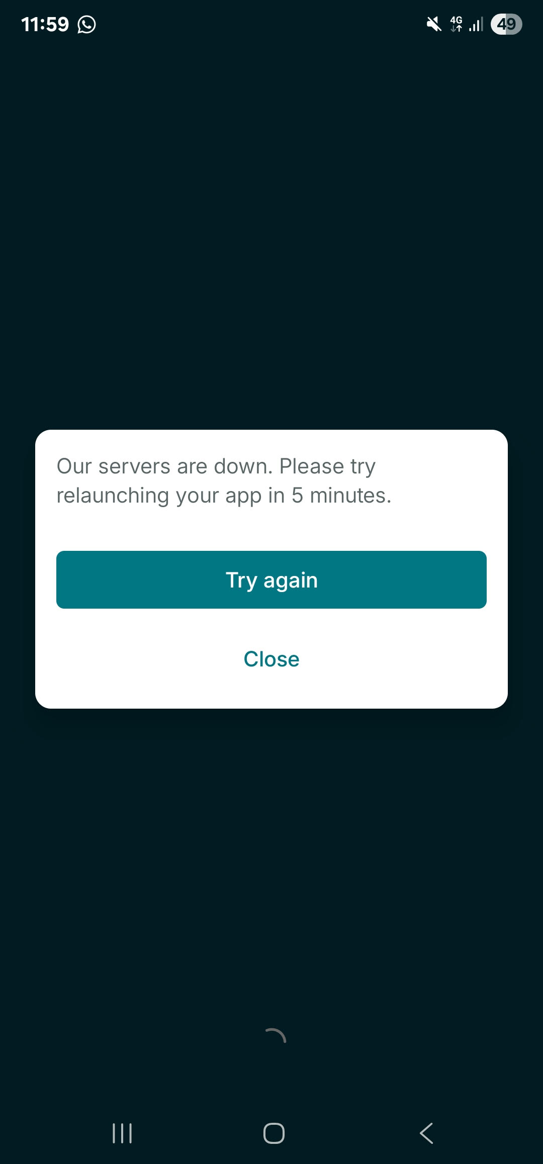 vinted outage server error
