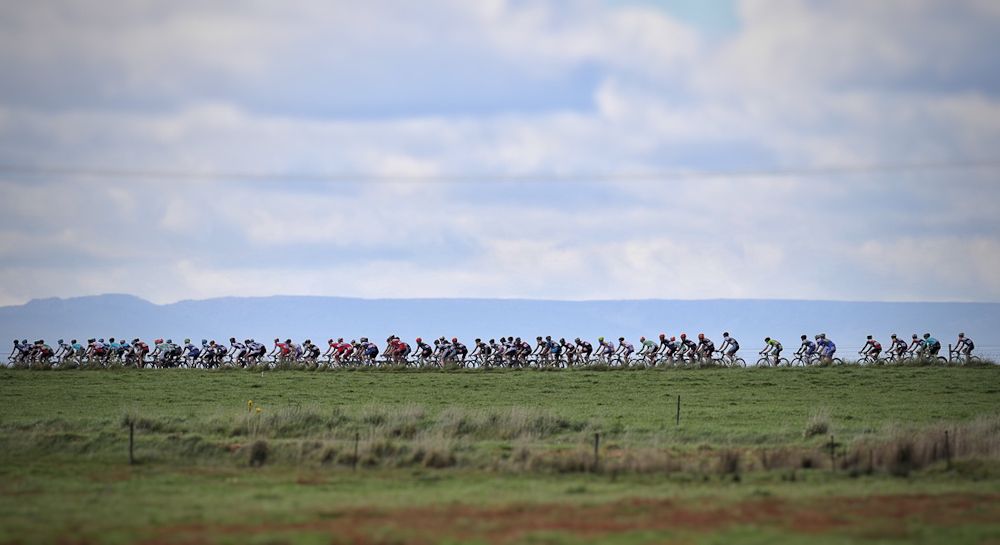 Scenic shot of the peloton passing through the Tasmanian countryside.
