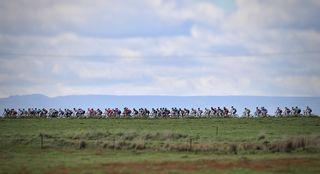 Scenic shot of the peloton passing through the Tasmanian countryside.