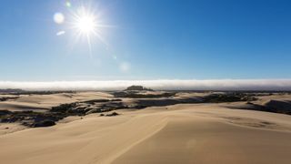Beautiful natural scenery of sand dunes under shining sun, Oregon Dunes National Recreation Area, Oregon, USA