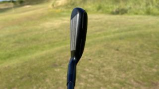 Photo of the Adams DHY Pro Utility Iron