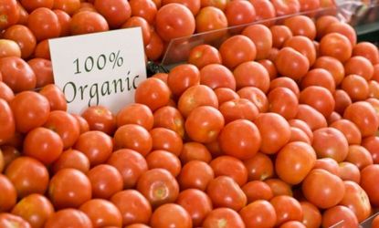 According to a new study that looked at 40 years of research, organic food has no more nutritional value than non-organic food.