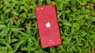 Bästa små mobiler: En röd iPhone SE (2022) ligger med baksidan vänd uppåt bland gröna buskar.
