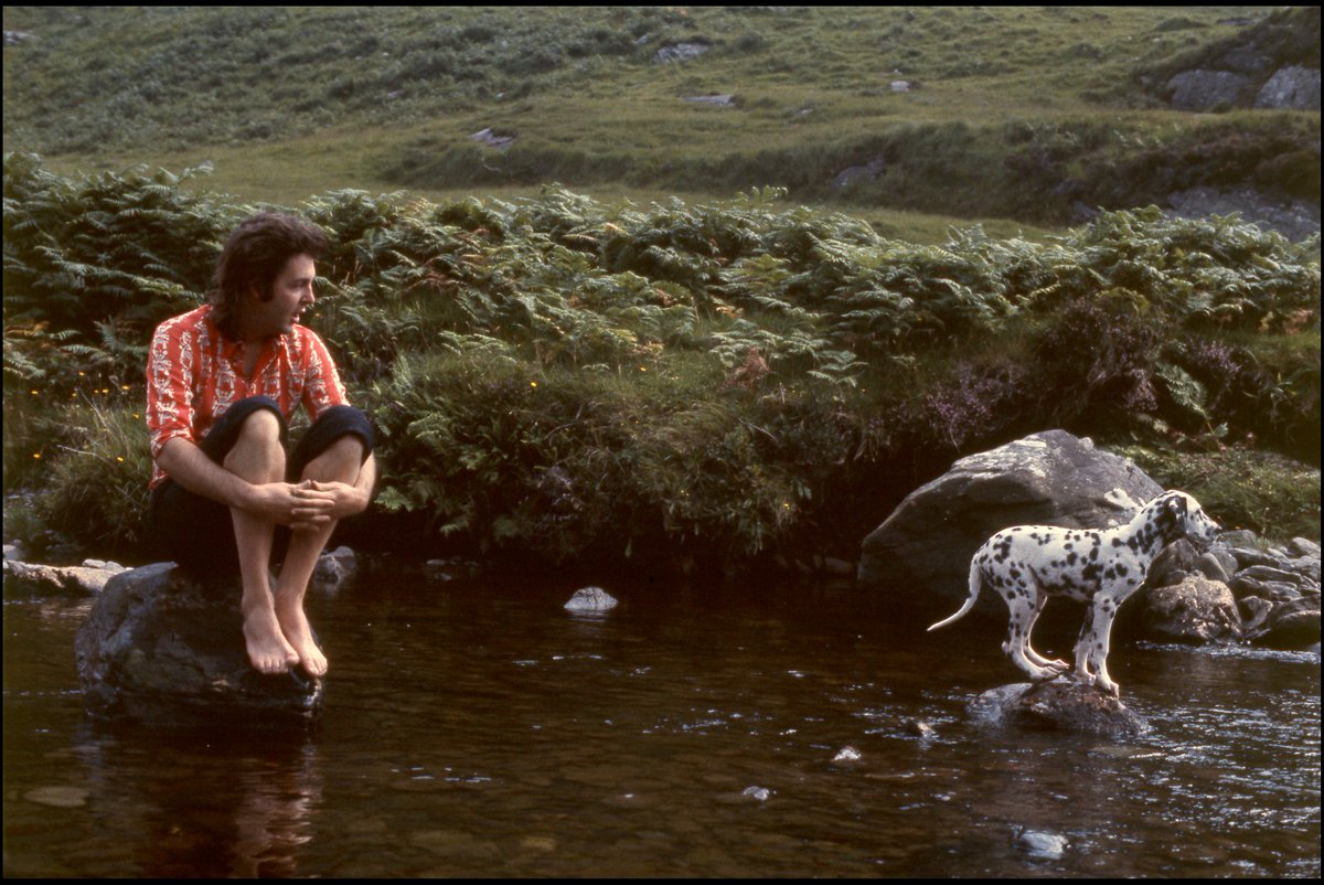 Paul McCartney sits barefoot on a rock beside a shallow stream while a dalmatian steps carefully across stones in the water.
