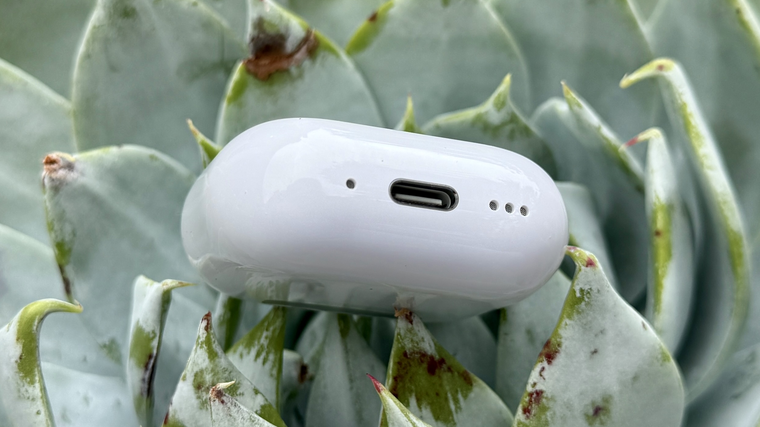 AirPods 4 case on top of a plant showing charging ports