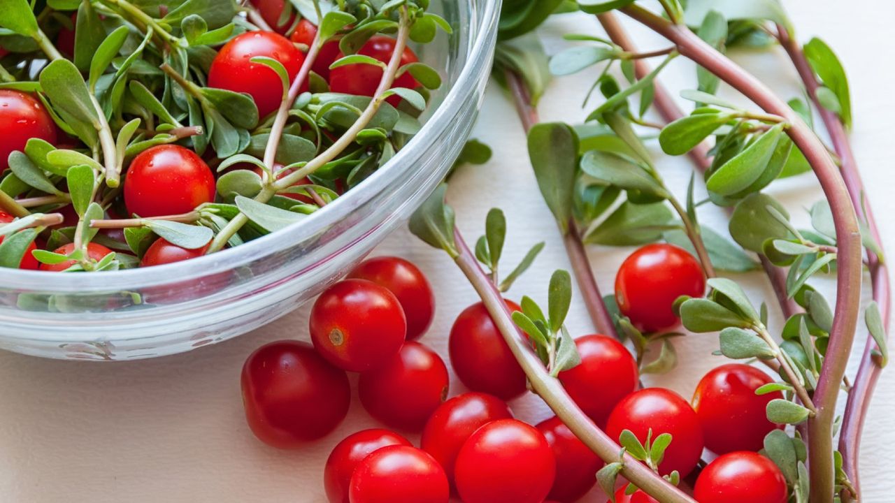 Cherry tomatoes and purslane in a bowl