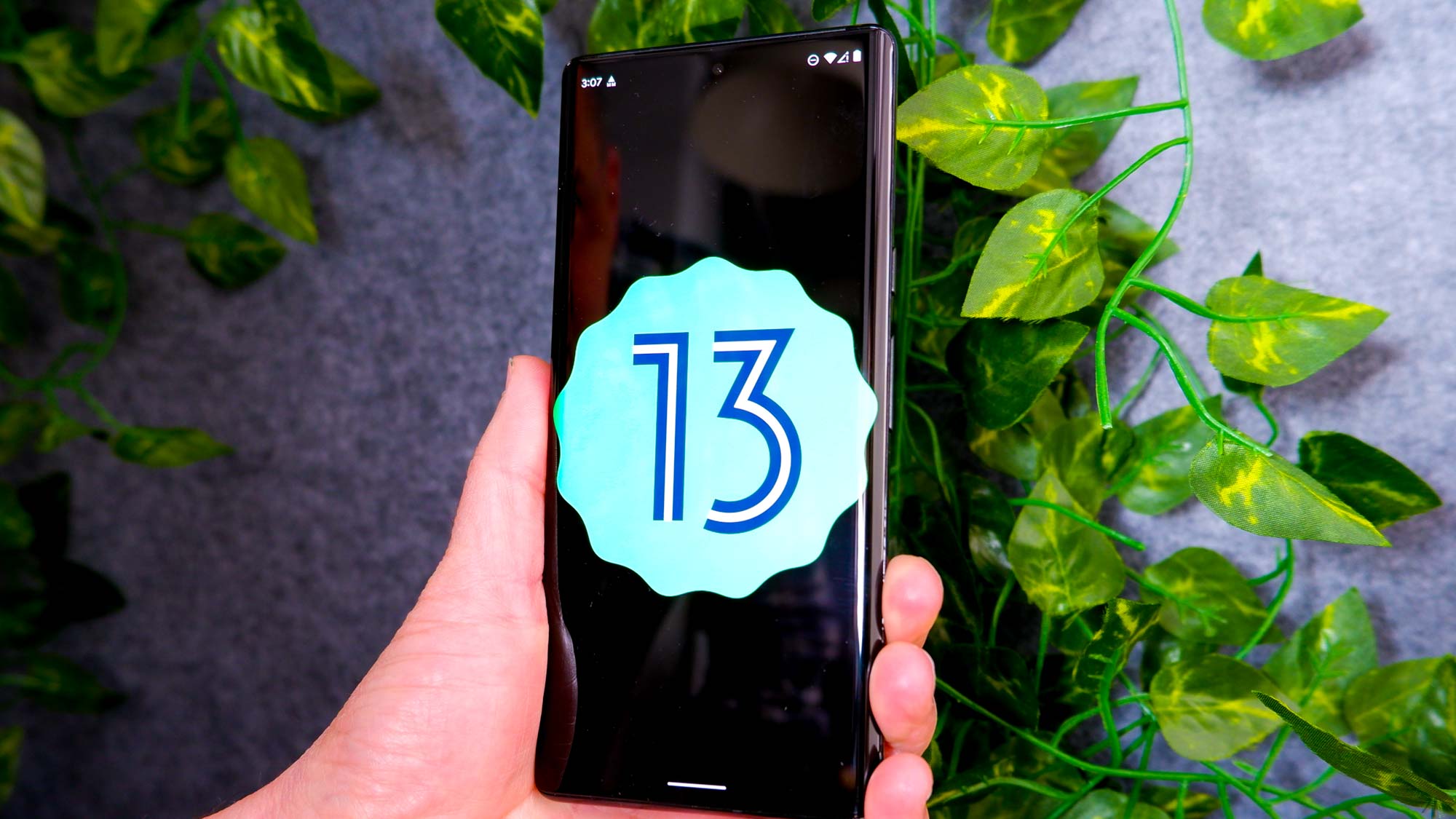 Android 13 logo on a smartphone