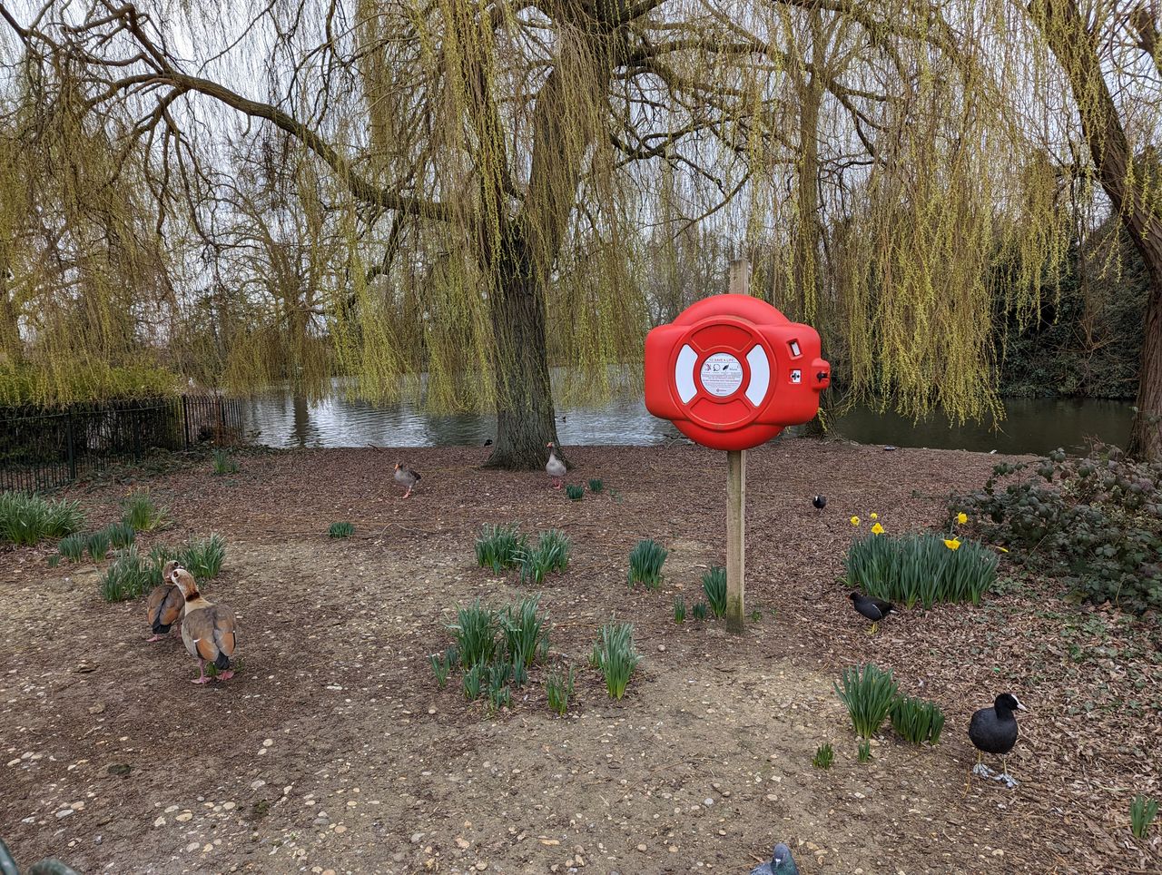 Google Pixel 7 Pro sample images
