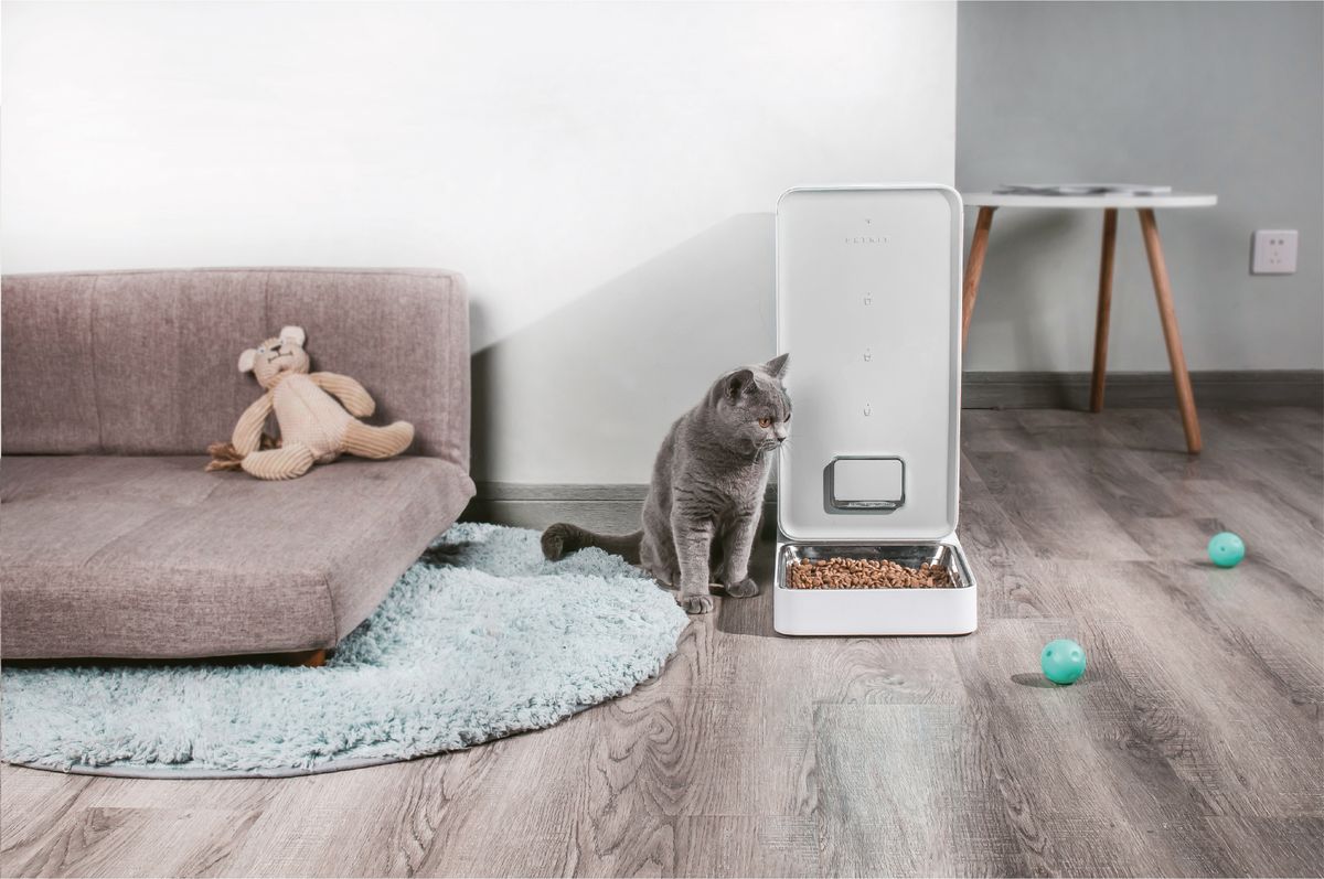 5 gadgets every pet owner needs | Real Homes