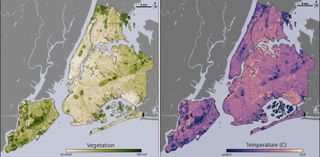 Two maps side by side, on the left represents the density of vegetation and on the right temperatures from warm to hot. Areas with higher density vegetation are visually cooler than areas with sparse vegetation.