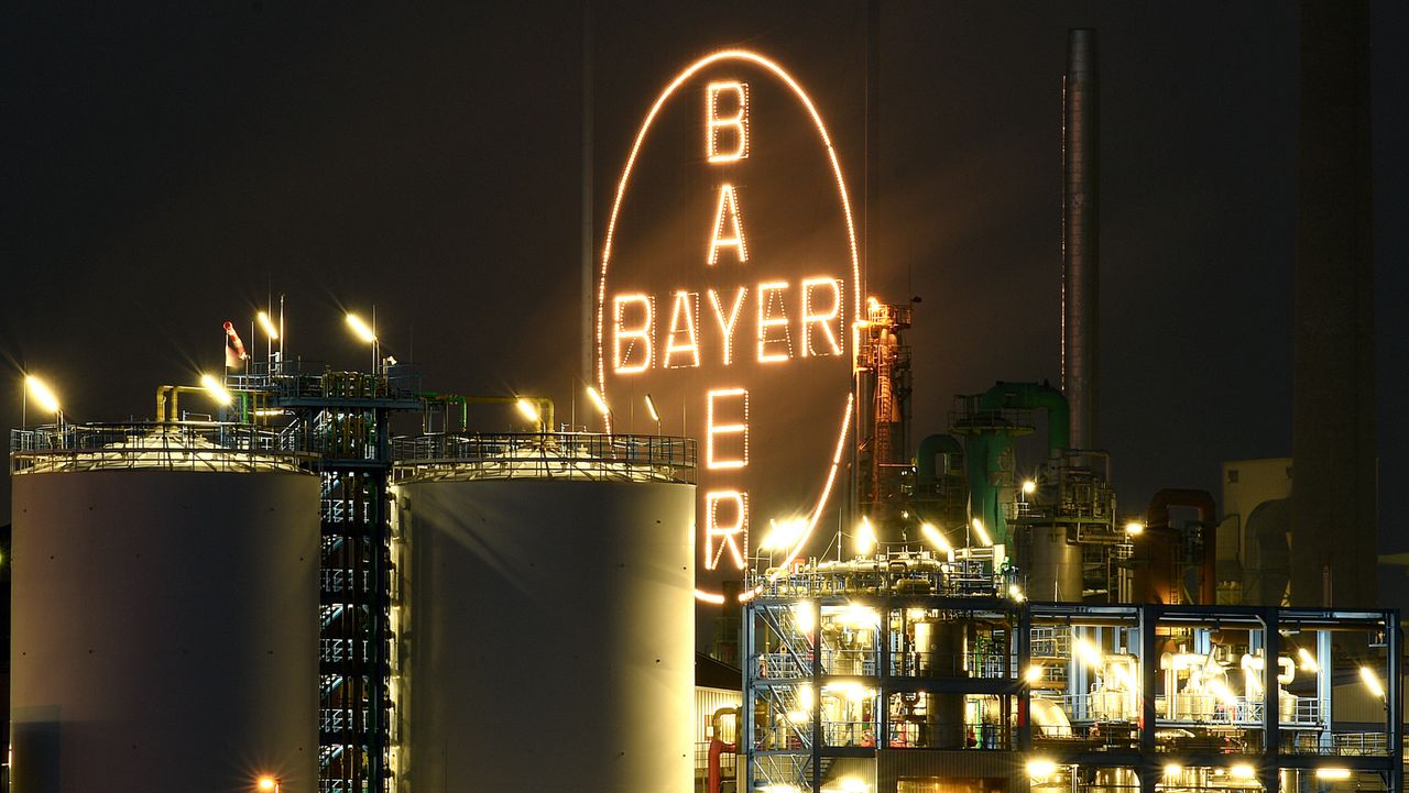 160906_bayer.jpg