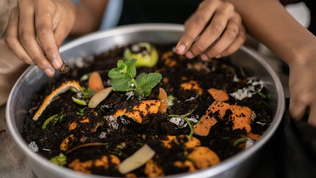 Hands touching soil and food waste in a bowl