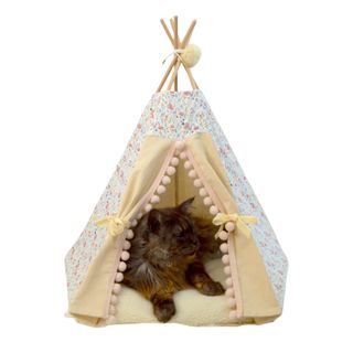 Cat tee pee with a cat in it