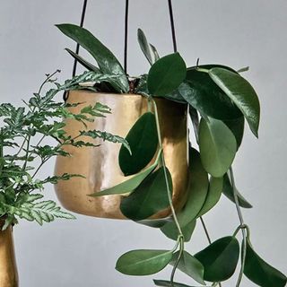 gold hanging planter at john lewis