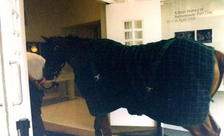 Horse entering the Whitechapel Gallery foyer for Jannis Kounelis exhibition, ‘A Short History of Performance’ in April 2002