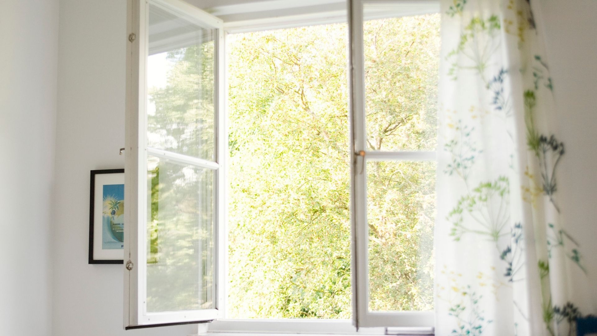The image shows a bedroom window open wide, with white and green curtains moving in the breeze. Outside the window there is a large leafy tree.