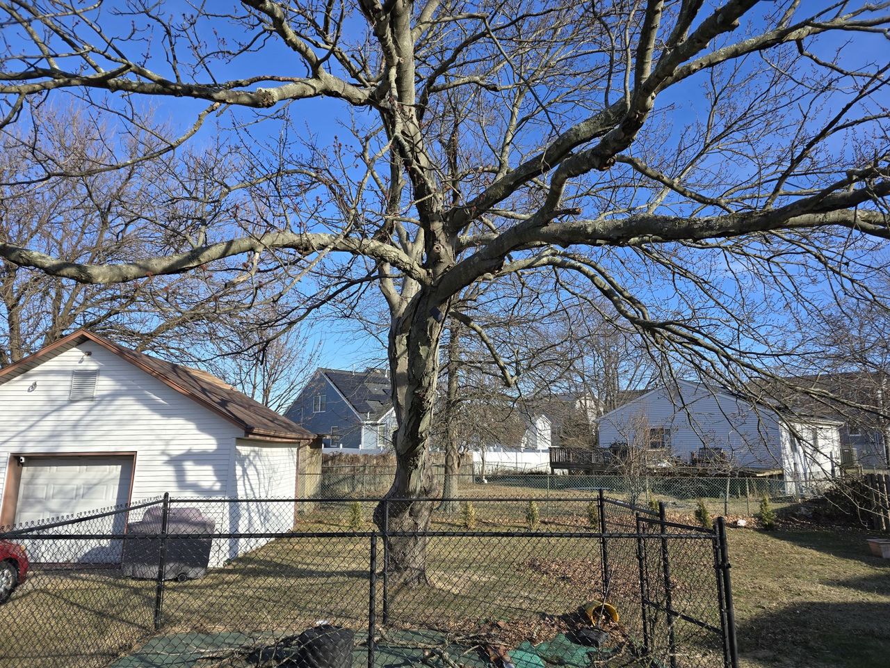 Samsung Galaxy S24 Ultra main camera sample.