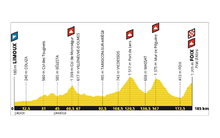 Profile of stage 15 of the 2019 Tour de France