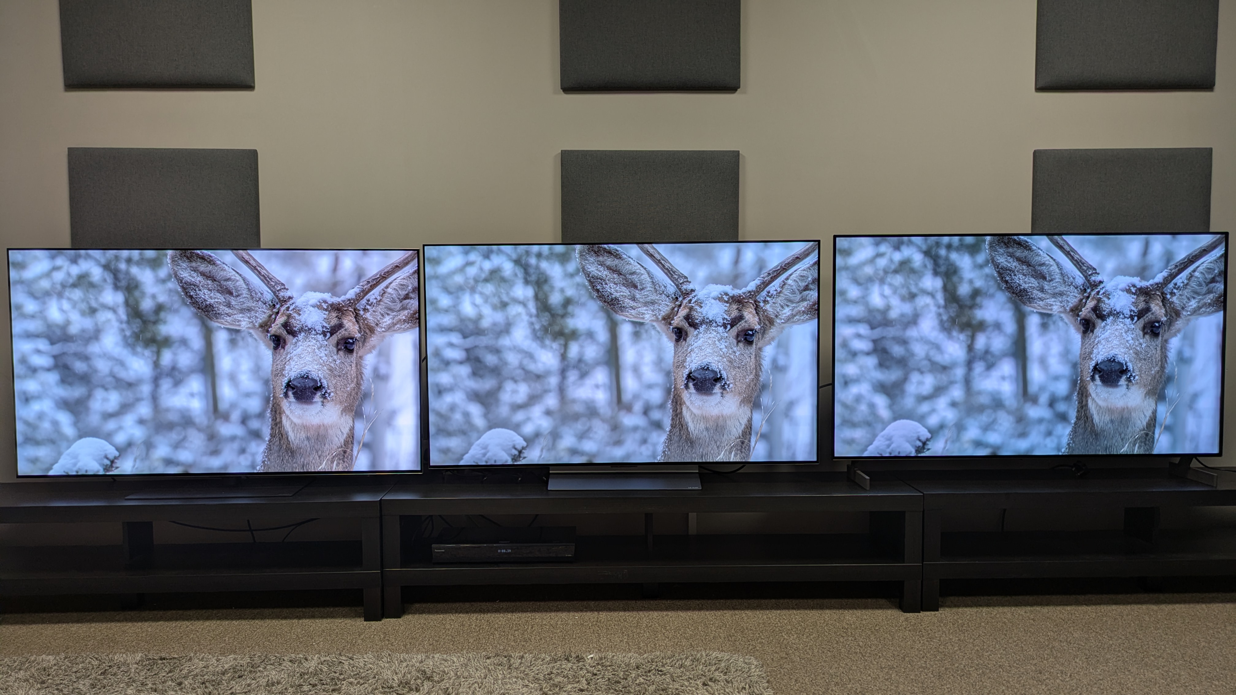 LG G6 (left) vs LG C6 (middle) vs LG B6E (right) showing a deer covered in snow. Crisp textures from all TVs, but the G6 has much punchier brightness and highlights