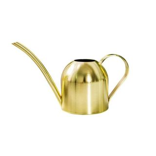 Gold watering can on white background