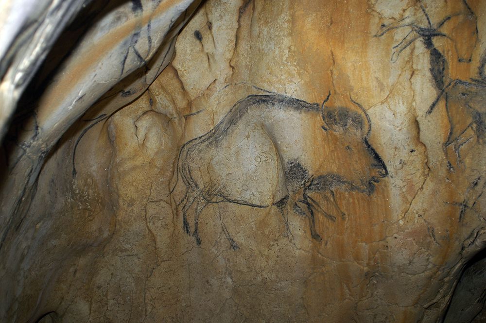 bison hybrid cave paintings