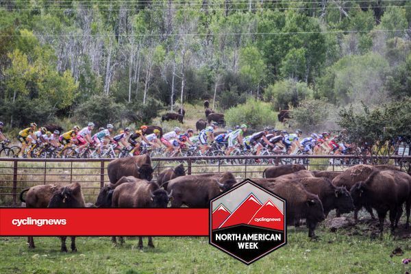 Buffalo add to the scenery of the Larry H. Miller Tour of Utah