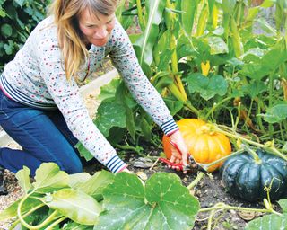 woman tending to pumpkins in vegetable patch to encourage growth