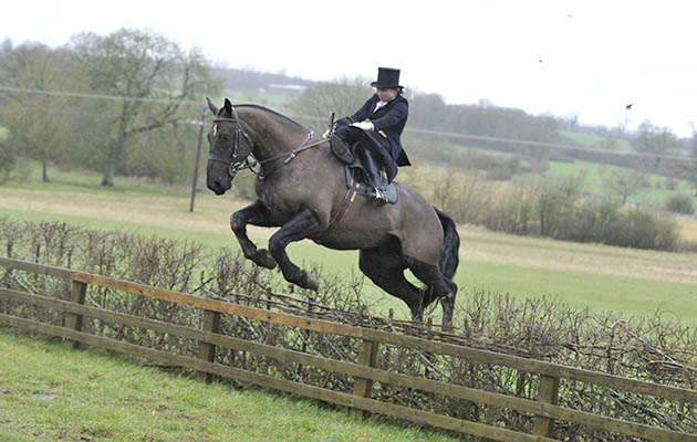 Marilyn Bane flies across the Grafton country